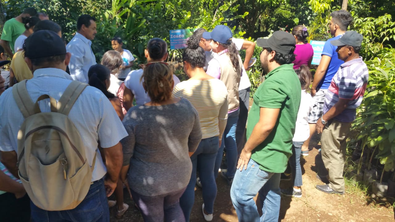 vivero